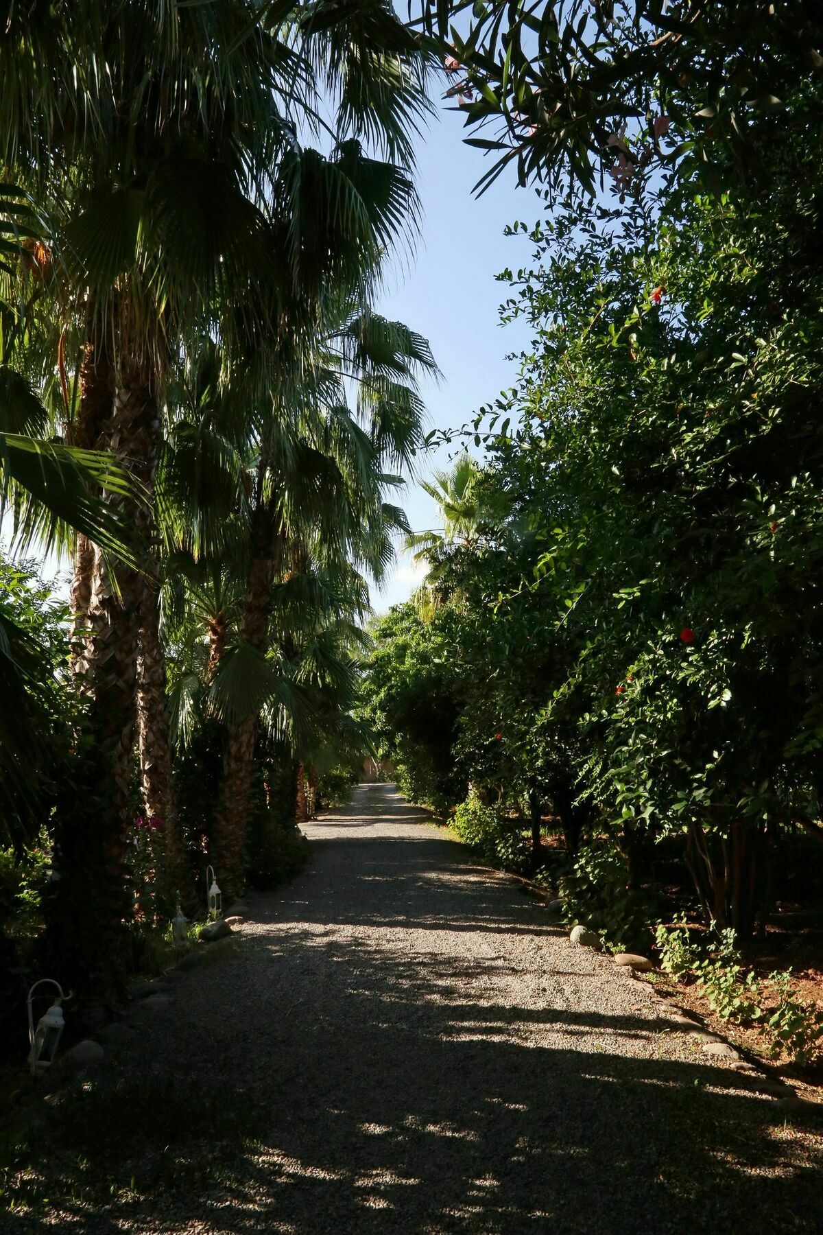 Bed and Breakfast Le Bled Ferme Lahebichate Exterior foto